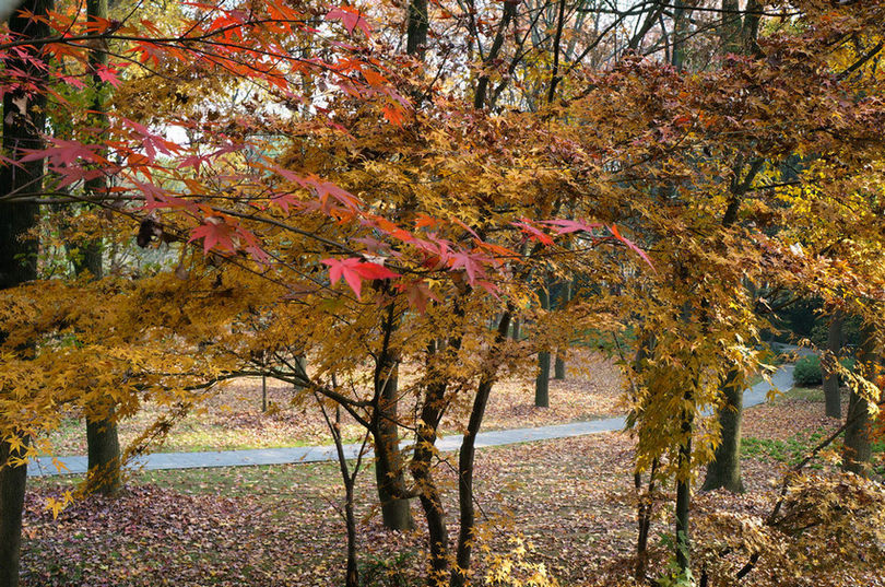dsc07822.jpg