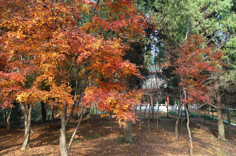 dsc07827.jpg