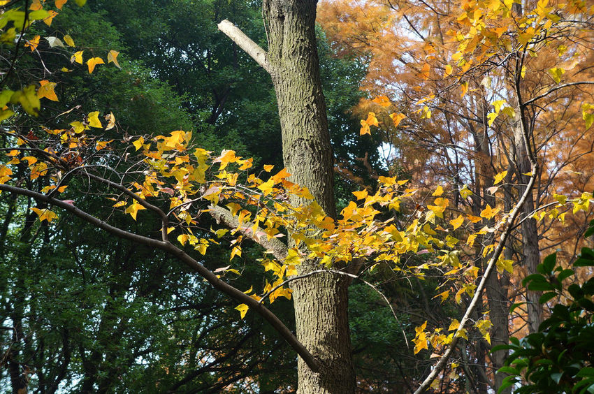 dsc07746.jpg