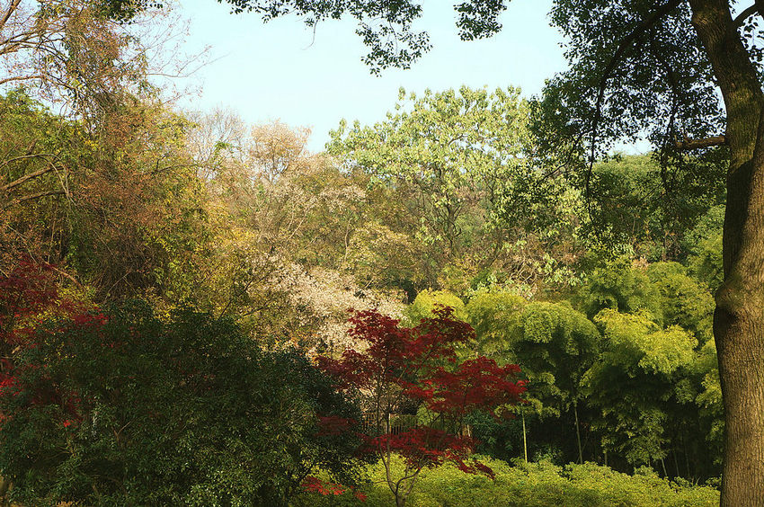 dsc07862.jpg