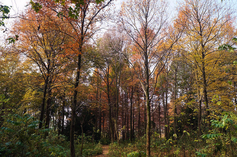 dsc07748.jpg