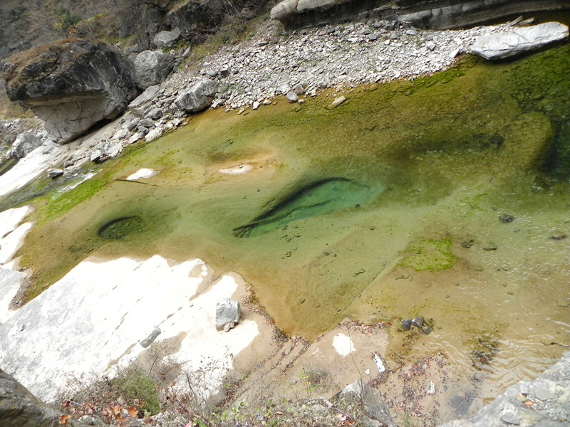 dscn2264_.jpg