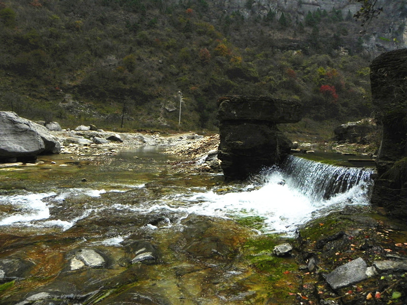 dscn2271_.jpg