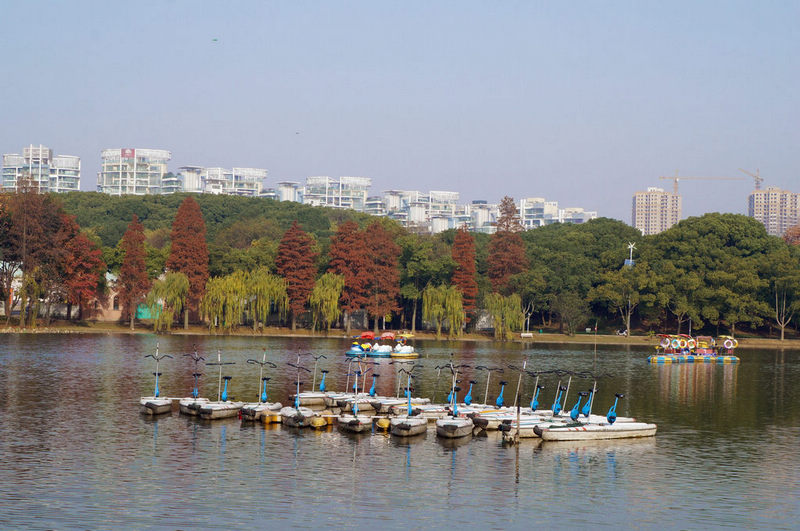dsc08014.jpg
