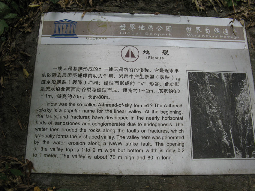 neo_img_img_0732.jpg