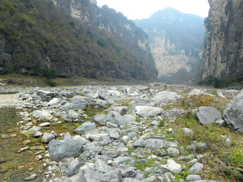dscn2299_.jpg
