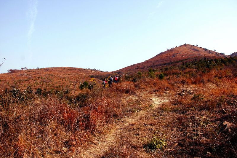 _mg_2648.jpg
