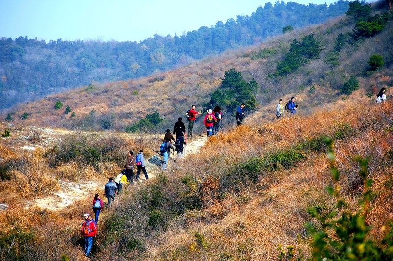_mg_2663.jpg
