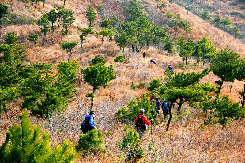 _mg_2689.jpg