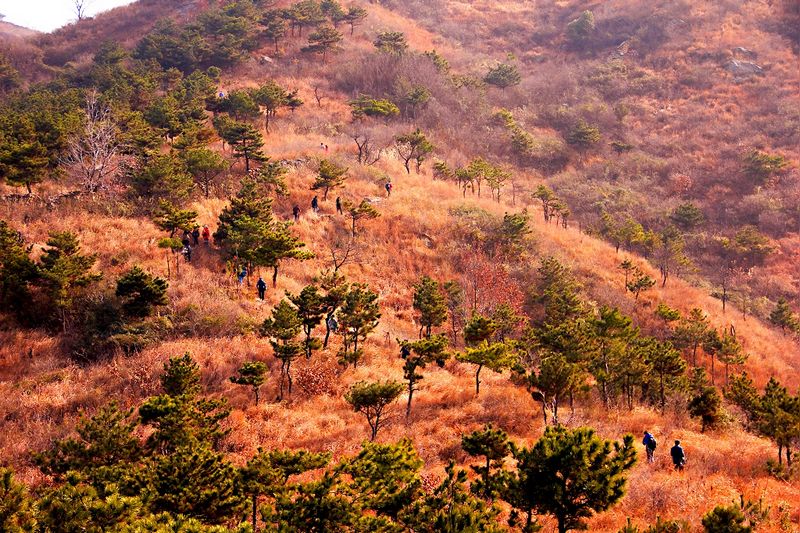 _mg_2708.jpg