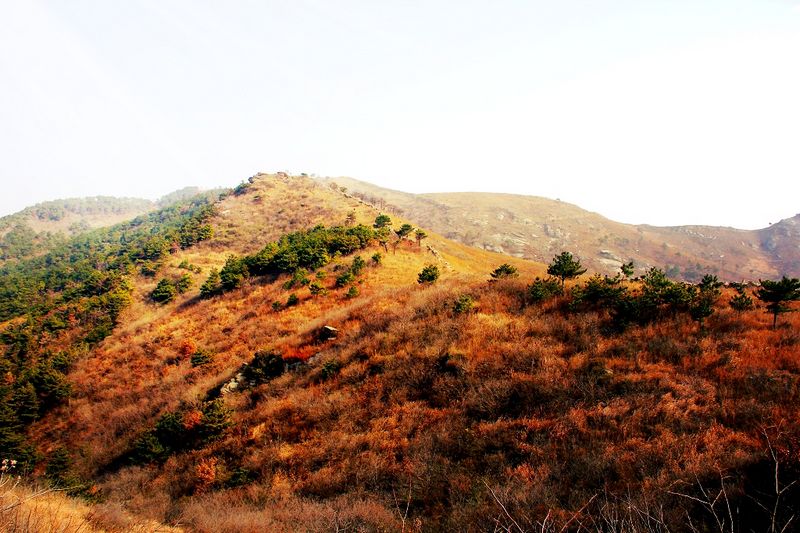 _mg_2768.jpg