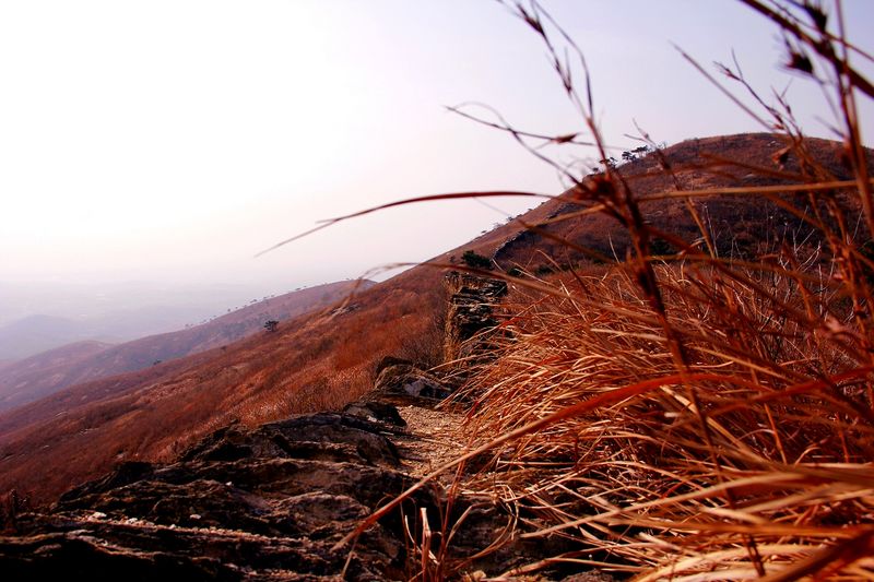 _mg_2779.jpg