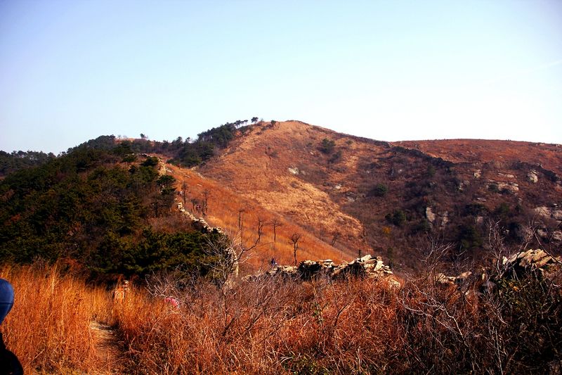 _mg_2803.jpg