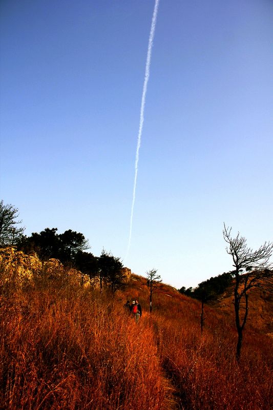 _mg_2829.jpg