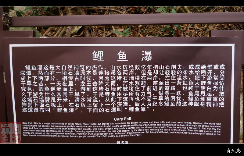 l1400268.jpg