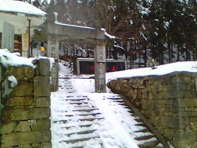 img00101.jpg