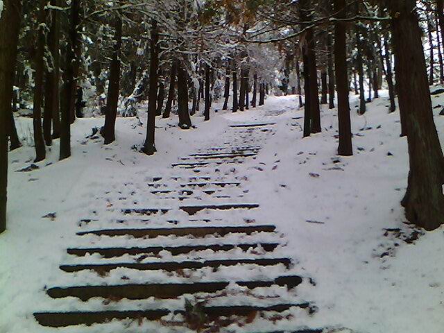 img00104.jpg