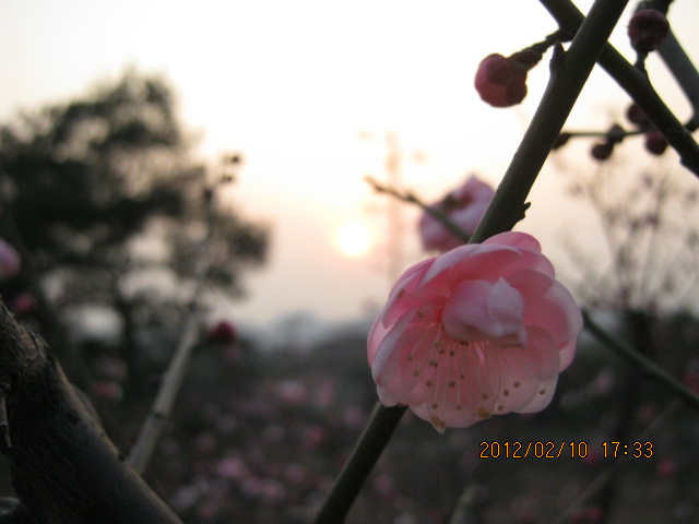 img_5715.jpg