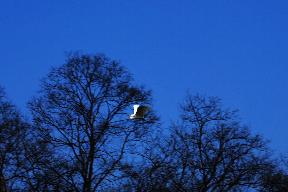 dsc_0355.jpg