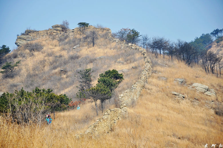 dsc_1295.jpg