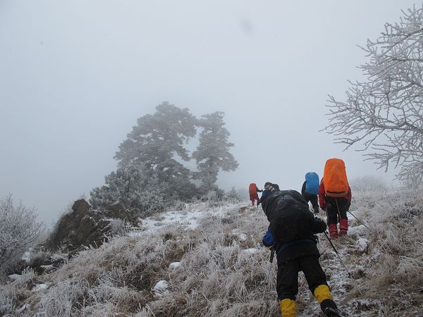 2012 182a.jpg