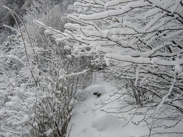 img_5293a.jpg
