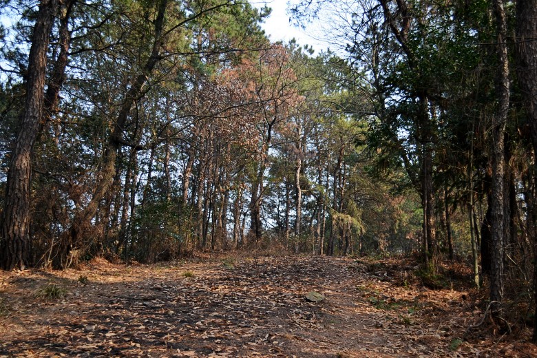 ŷ 088_conew1.jpg