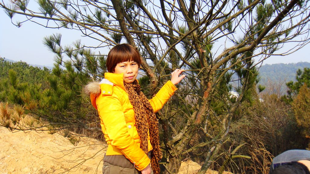 dsc00459.jpg