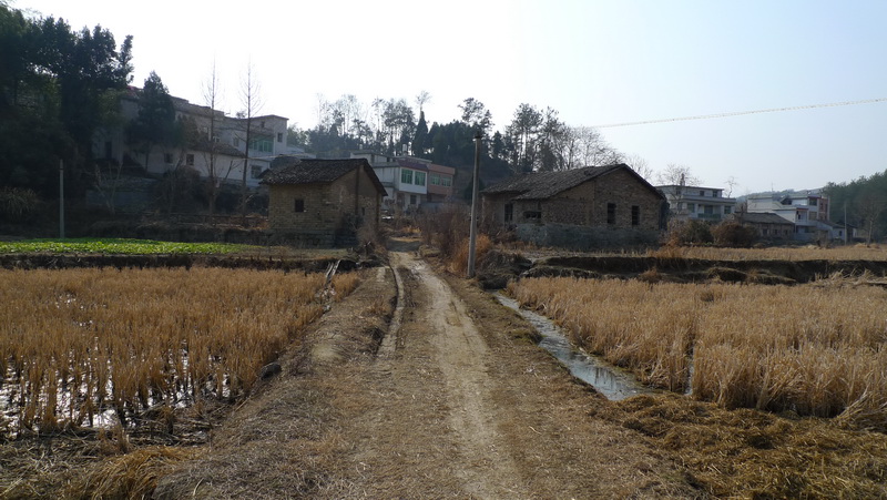 p1050721.jpg