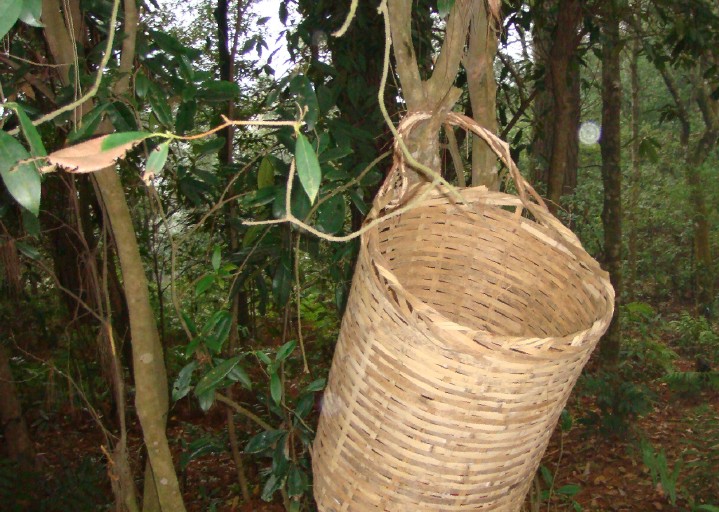 20120211205834.jpg