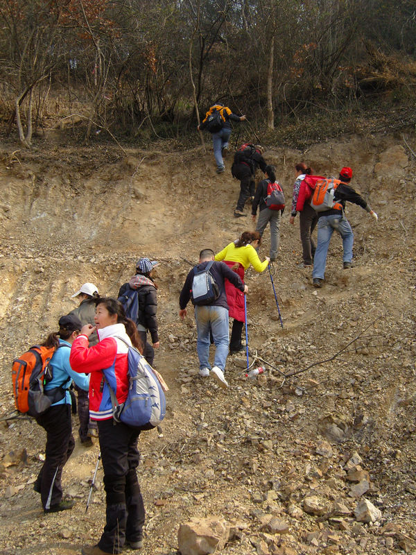  snc10029.jpg