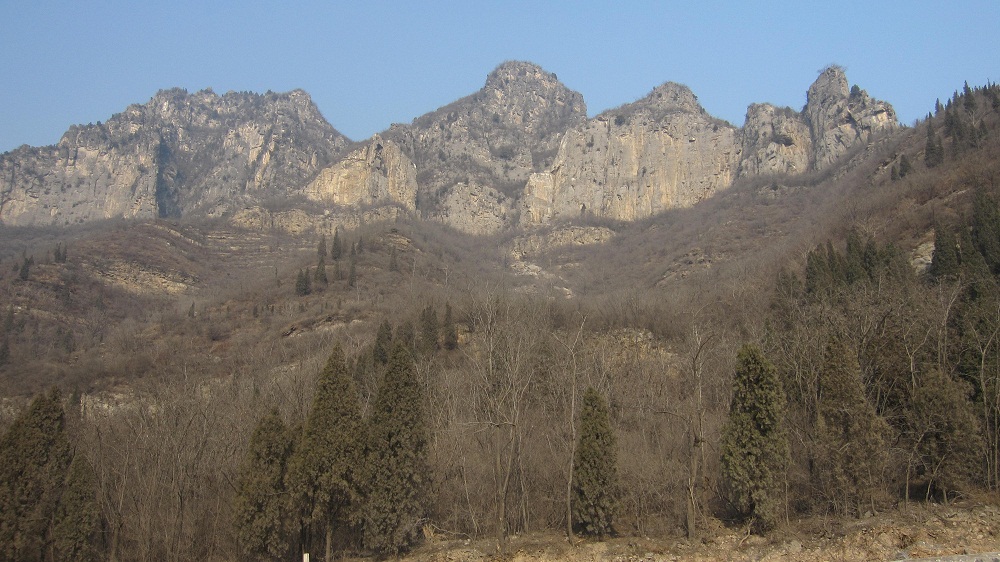 img_8286.jpg