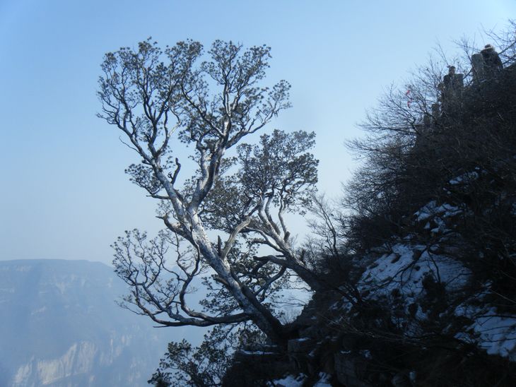 dscf3080.jpg