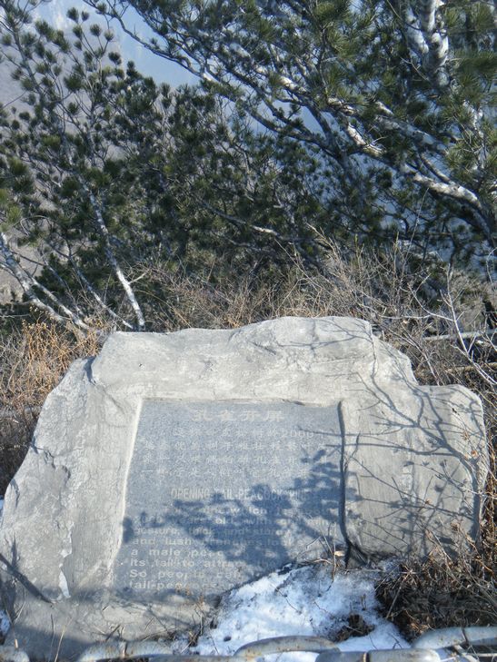 dscf3094.jpg
