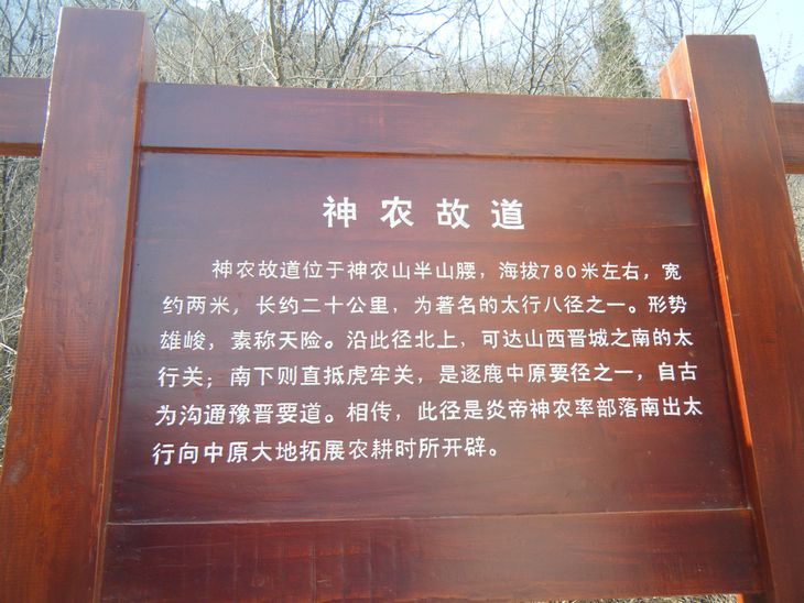 dscf3101.jpg