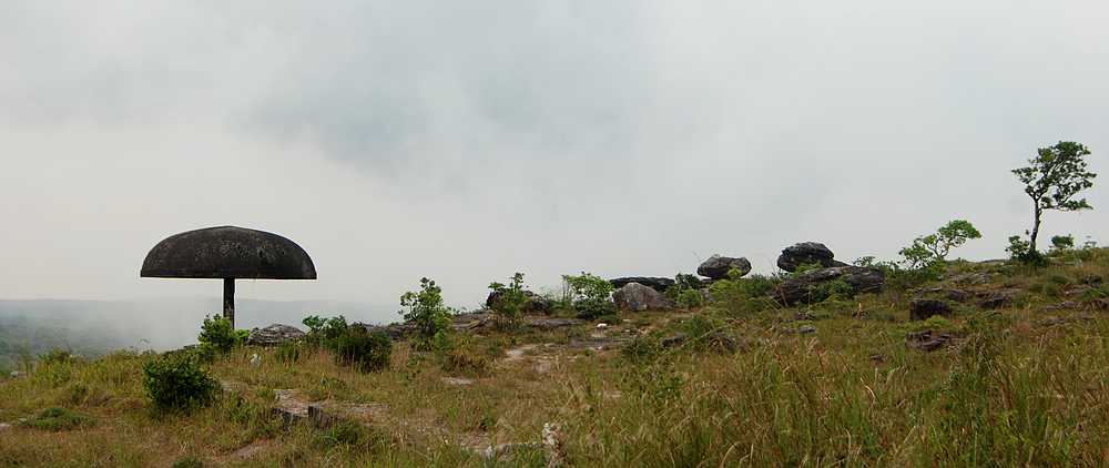 dsc_0639.jpg