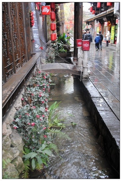 dsc_0079.jpg