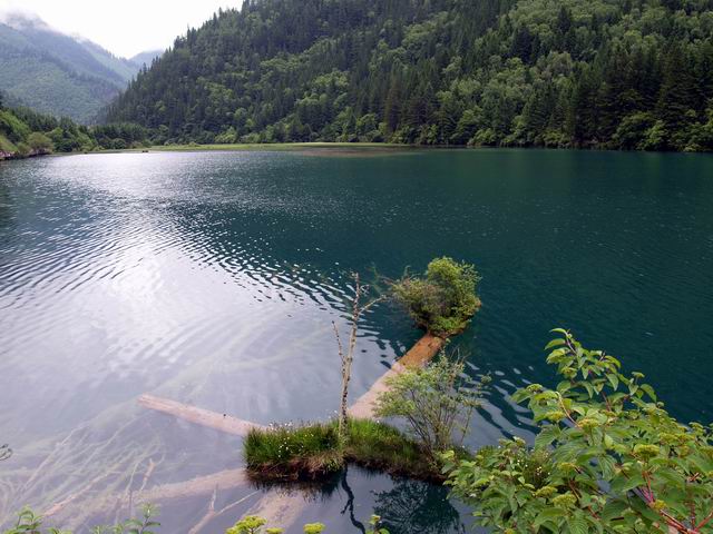 С p6199789.jpg