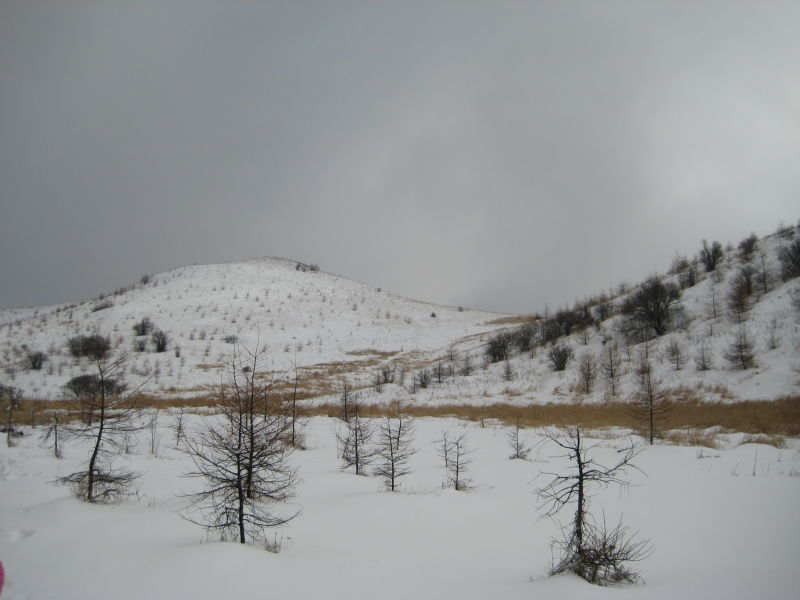 59.jpg
