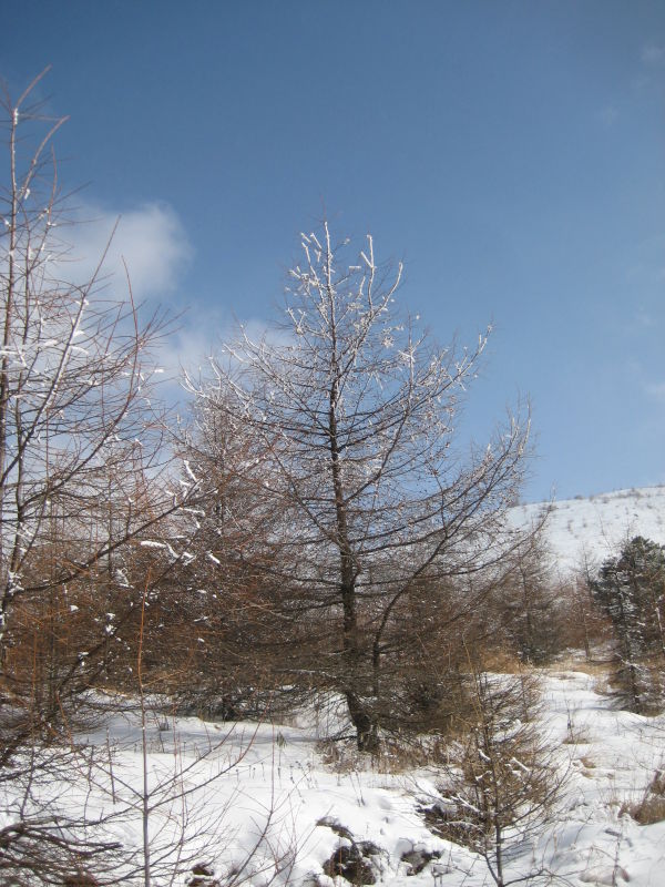 57.jpg
