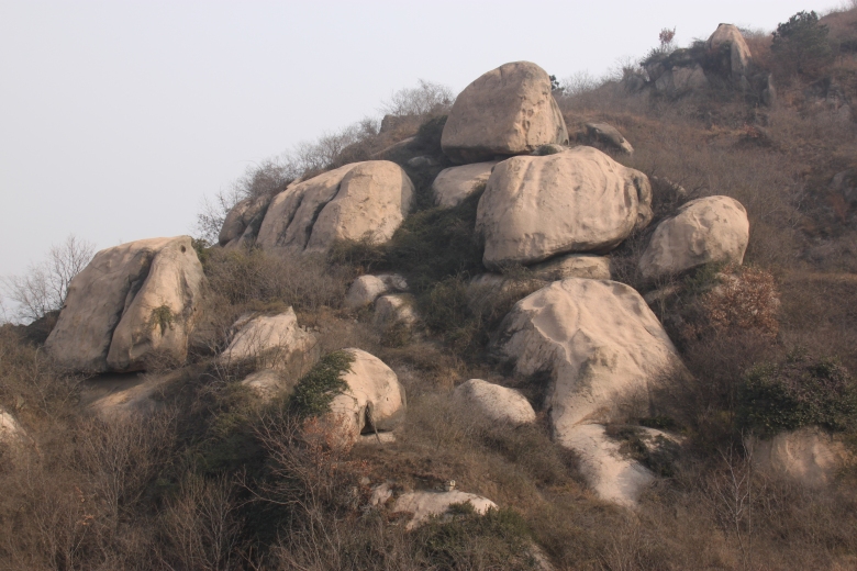 120218ĵװկ 063_conew1.jpg