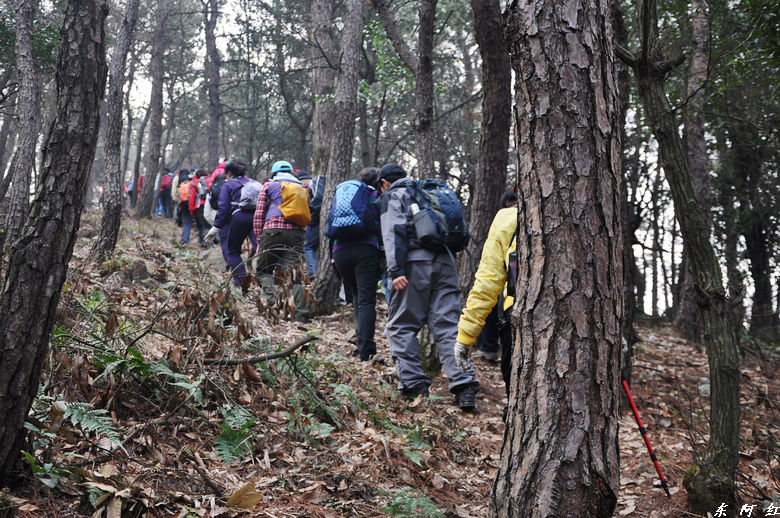 dsc_1323.jpg