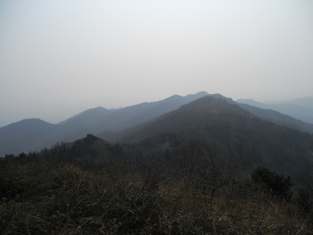 dscn0423.jpg