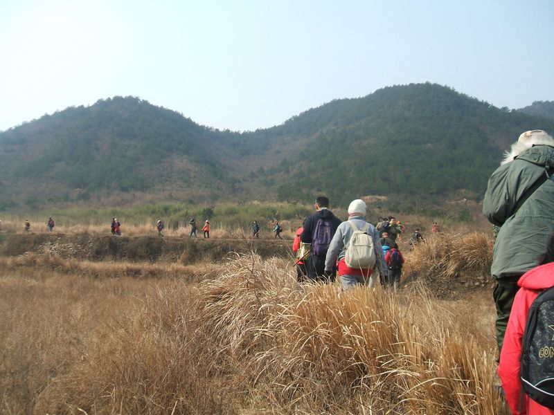 dscf5077.jpg