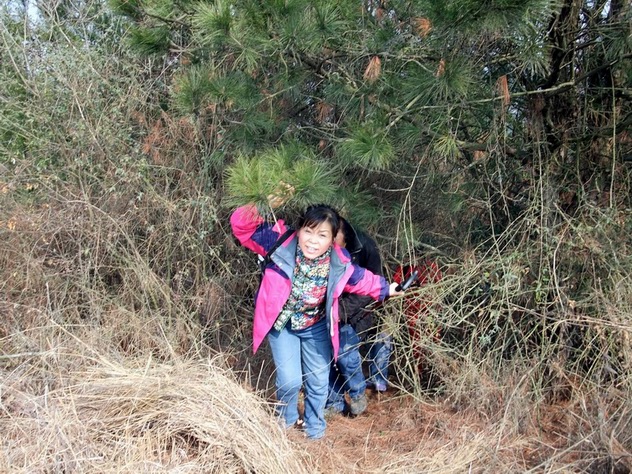 dscf9753.jpg