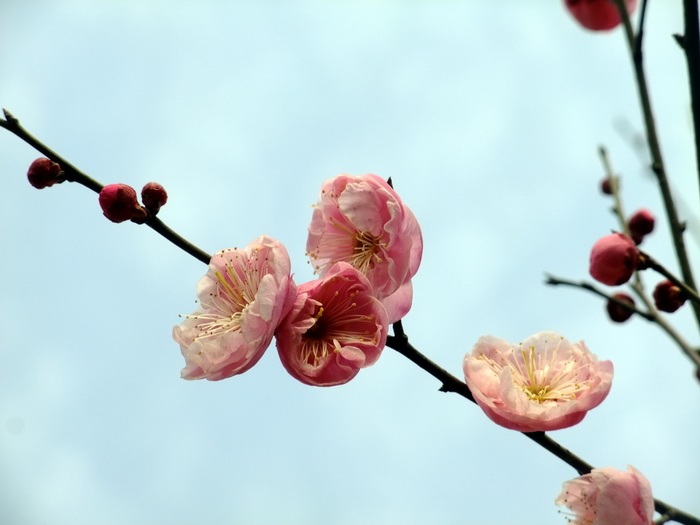 dscf9770.jpg