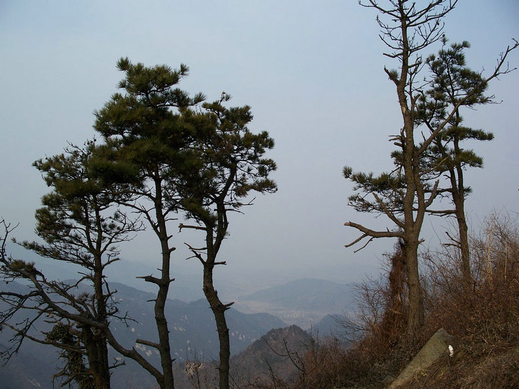 100_2224.jpg