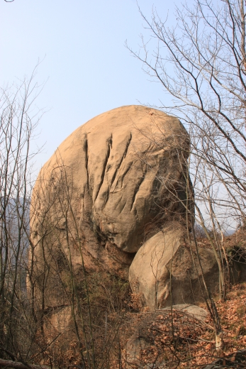 120218ĵװկ 282_conew1.jpg