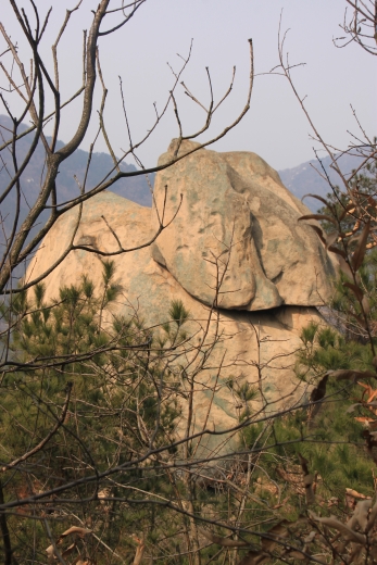 120218ĵװկ 289_conew1.jpg