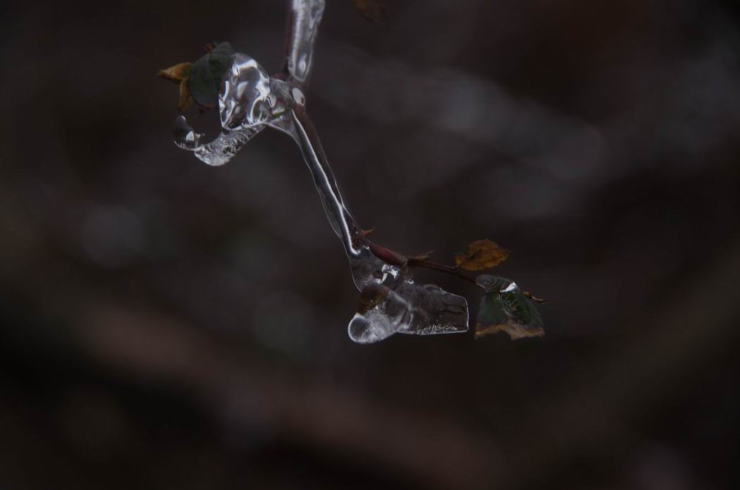 С С imgp4646.jpg
